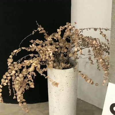 Furry绘画笔刷推荐Furry群